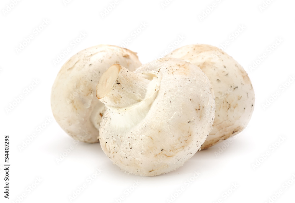 White Button Mushrooms (Champignons) Isolated on White White Button Mushrooms (Champignons) Isolated on White