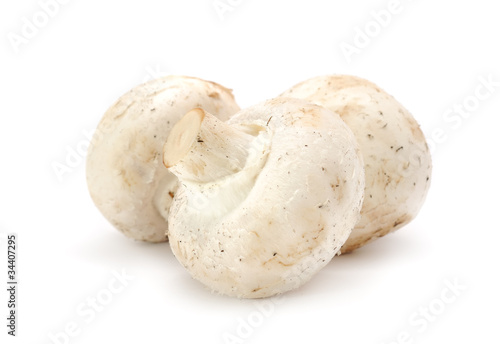 White Button Mushrooms (Champignons) Isolated on White