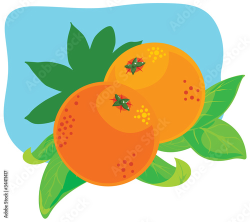 Orange fruit plant