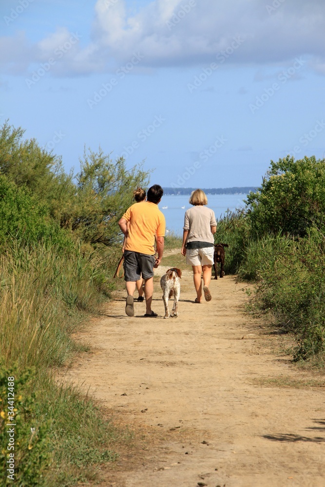 Fototapeta premium couple se promenant avec leurs chiens