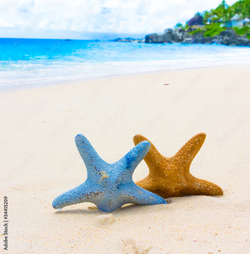 Beach Stars Scene