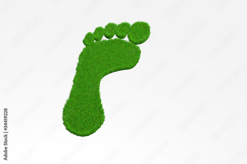 carbon footprint carbon footprint