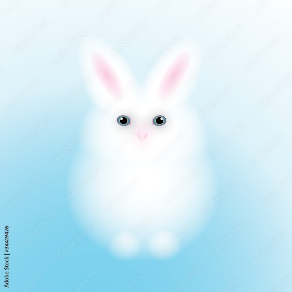 Rabbit / White adorable bunny