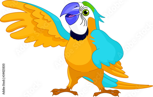 Talking Parrot