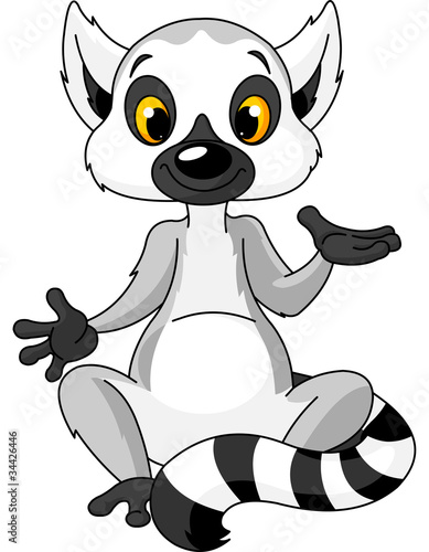 Sitting lemur explain