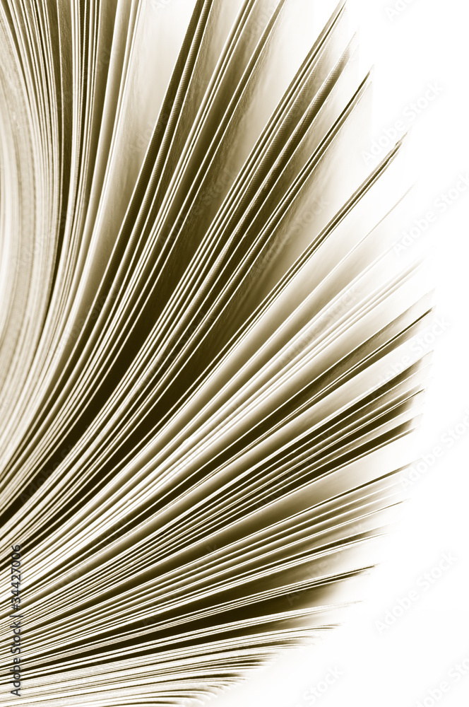 Obraz premium Magazine pages