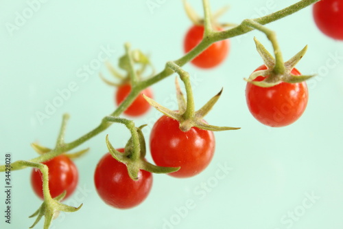 Wallpaper Mural マイクロトマト Torontodigital.ca