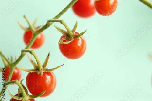 Wallpaper Mural マイクロトマト Torontodigital.ca