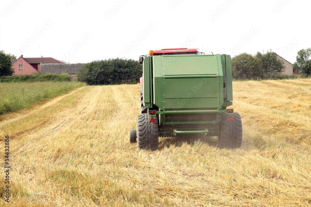 Obraz premium harvest time