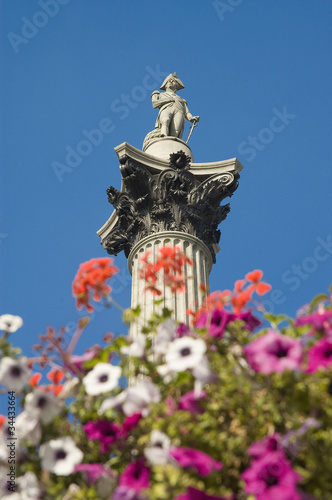 Nelson Column at London