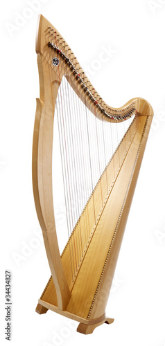 Canvas-taulu Harp
