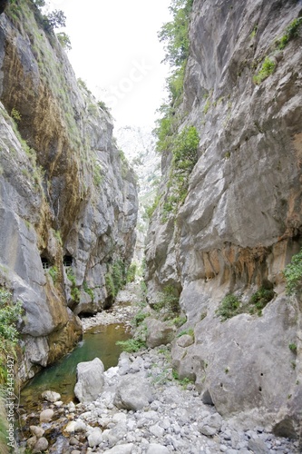 Vászonkép Gorge of River Cares