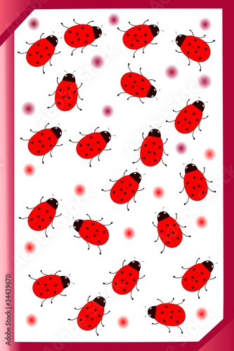 copertina coccinella