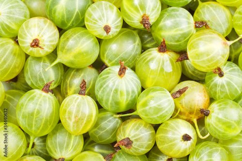 A bunch of gooseberry