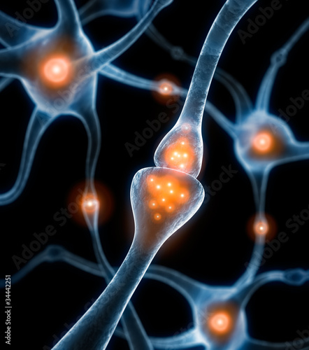 Fototapeta Naklejka Na Ścianę i Meble -  Synapse 2