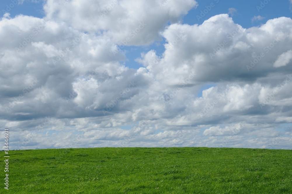 Ciel nuageux et herbe verte