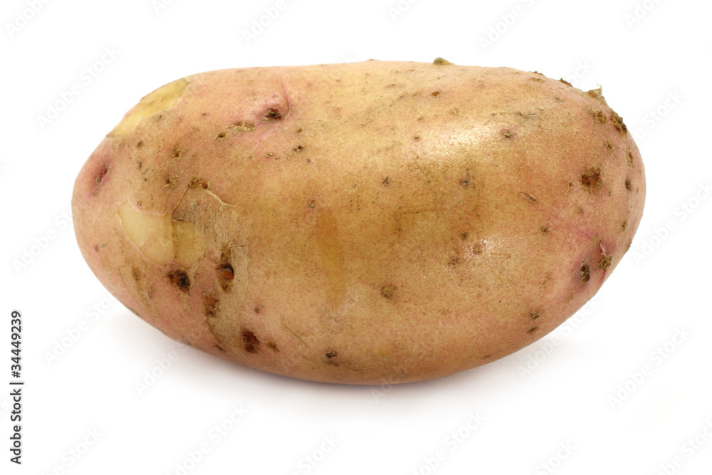 Big potato Big potato