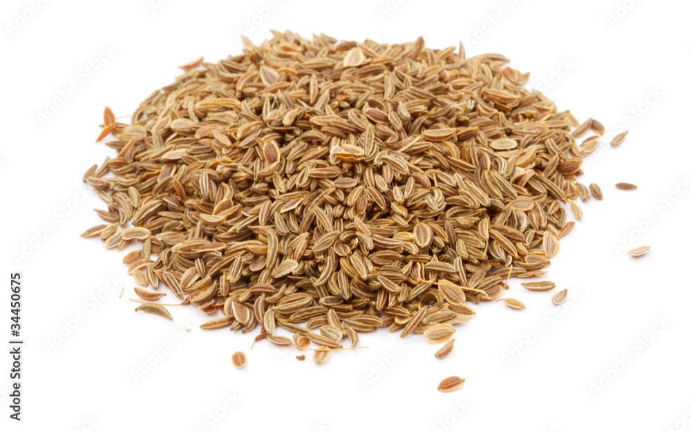 dill seed isolated dill seed isolated