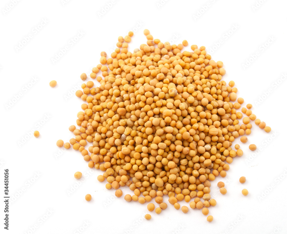 Yellow mustard seeds isolated Yellow mustard seeds isolated