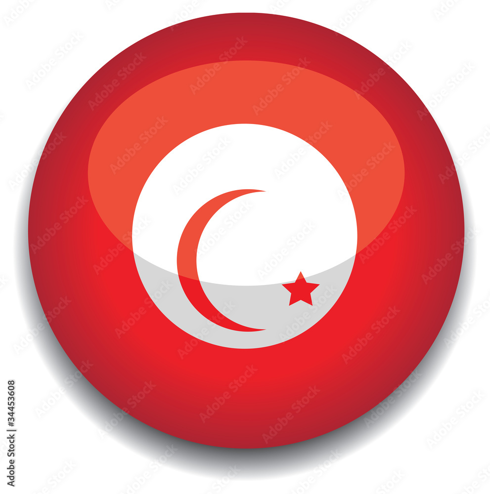 tunisia flag in a button tunisia flag in a button