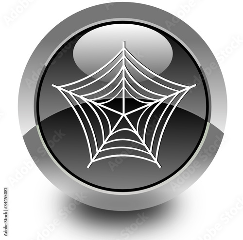 Spider glossy icon