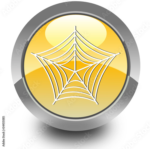 Spider glossy icon