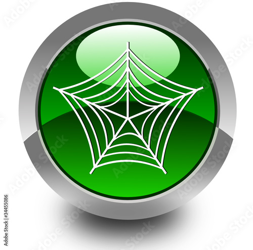 Spider glossy icon