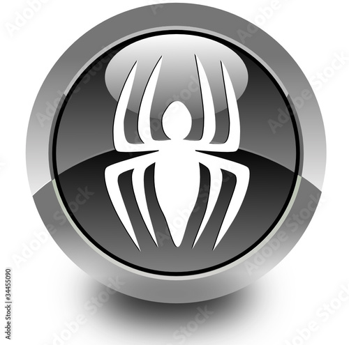 Spider glossy icon