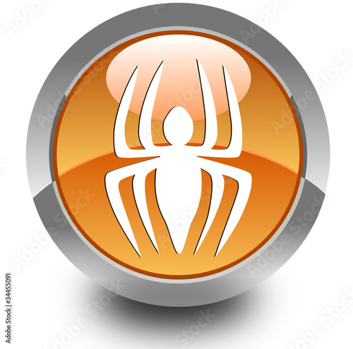 Spider glossy icon