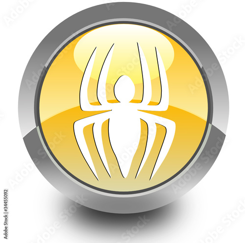 Spider glossy icon