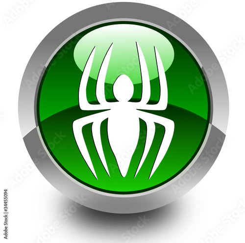 Spider glossy icon
