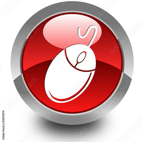 Mouse glossy icon