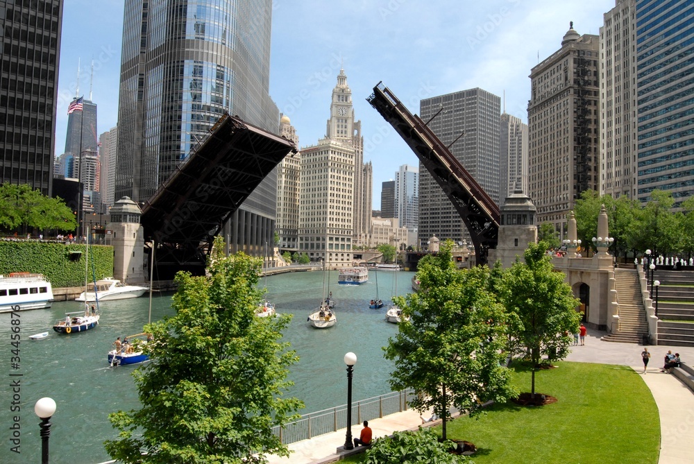 Downtown Chicago, Illinois - obrazy, fototapety, plakaty 