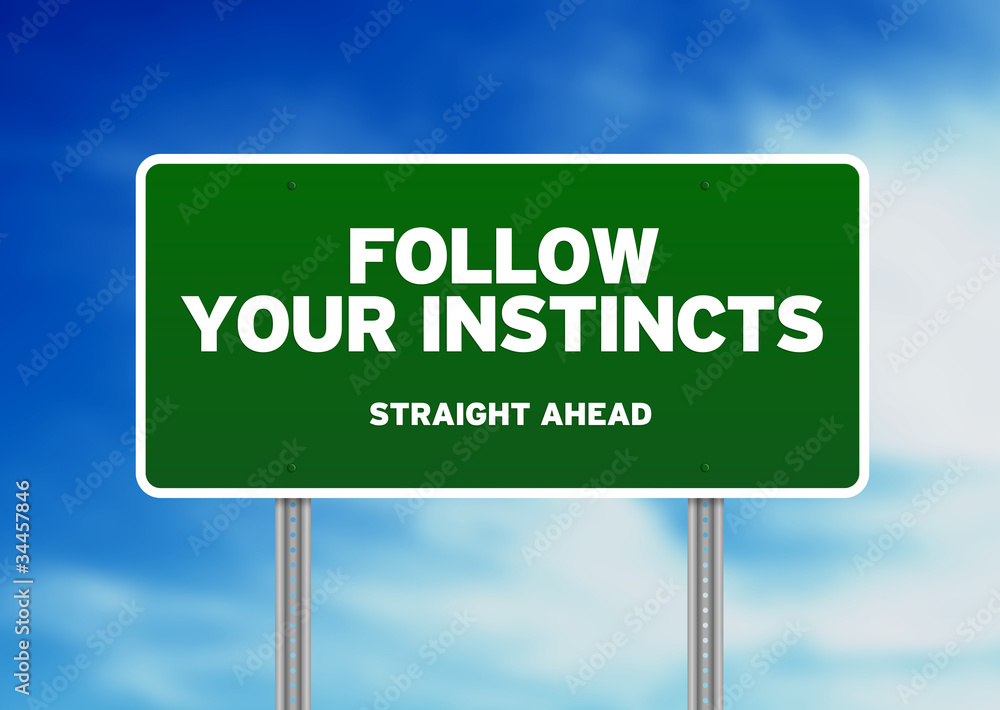 Green Road Sign - Follow Your Instincts Green Road Sign - Follow Your Instincts