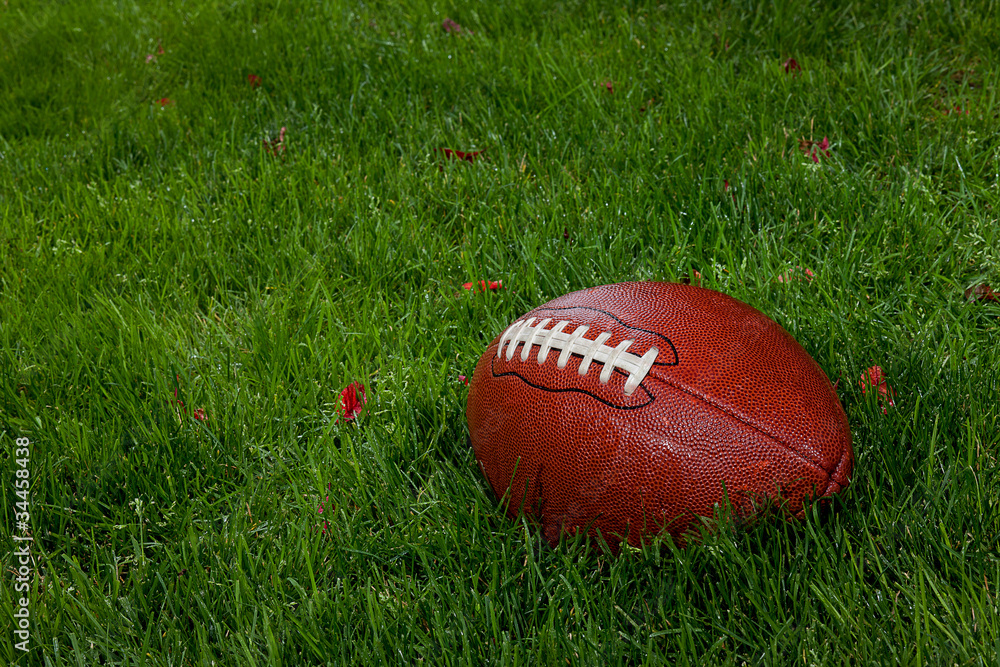 Pee Wee Football stock image. Image of learn, fast, grass - 310755