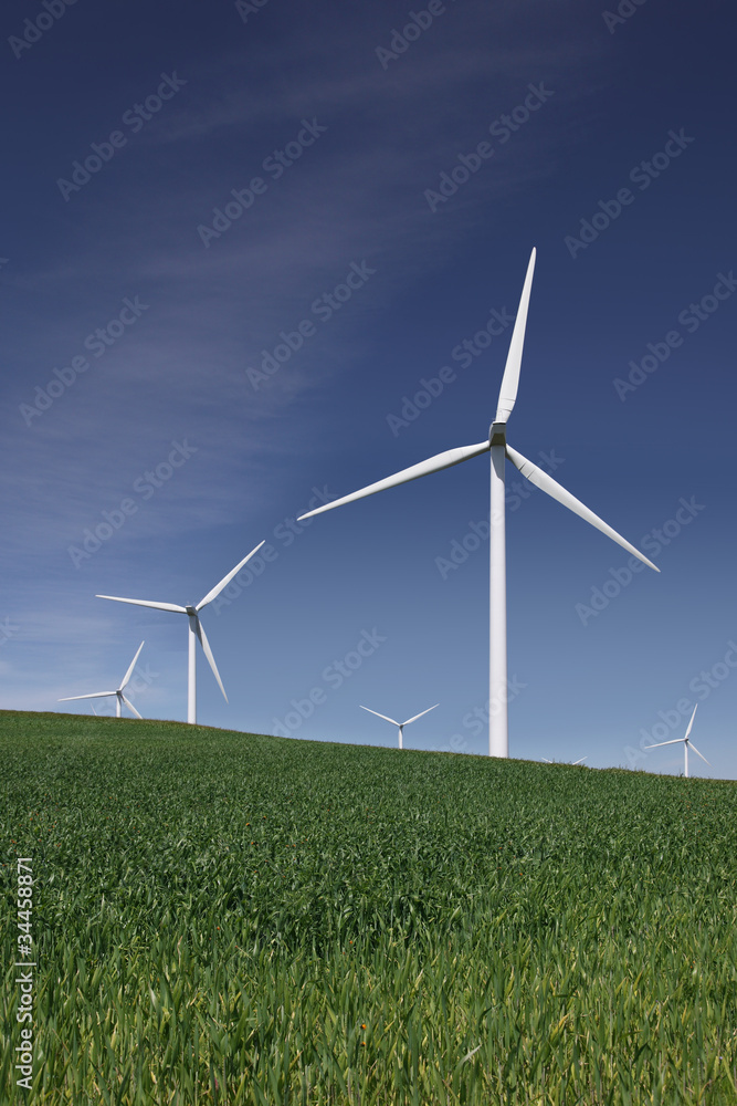 Fototapeta premium White Power Generating Wind Turbines