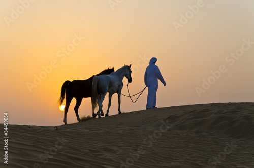 Fototapeta Naklejka Na Ścianę i Meble -  Arab Man with Arabian Horse