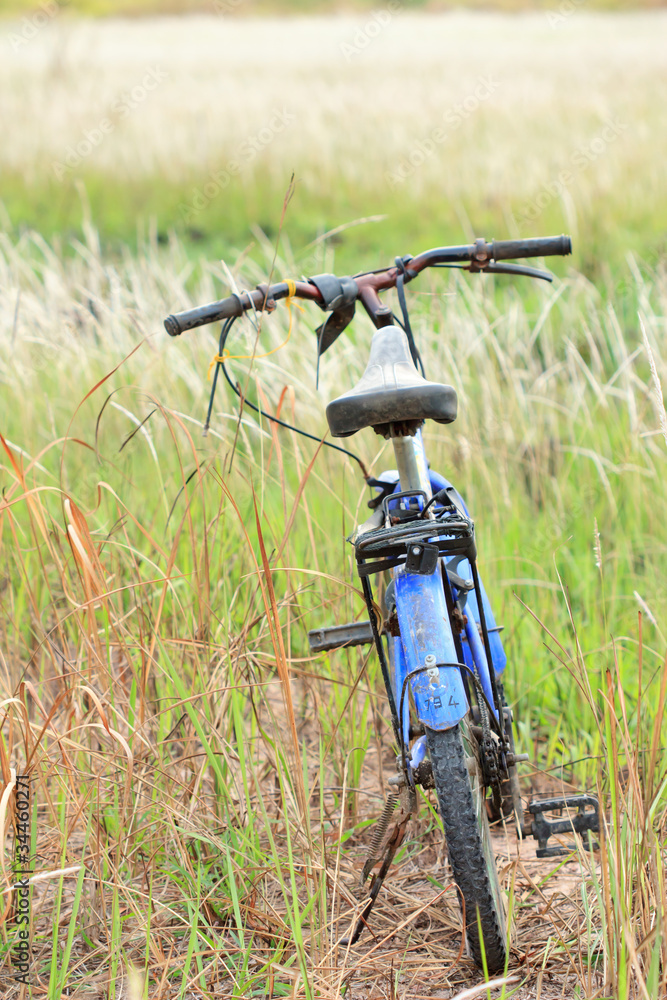 Naklejka premium Bicycle in tropical field