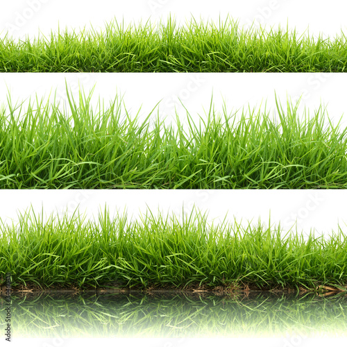 3 style fresh spring green grass