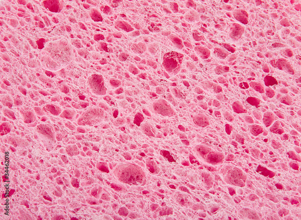 Sponge bacground Sponge bacground