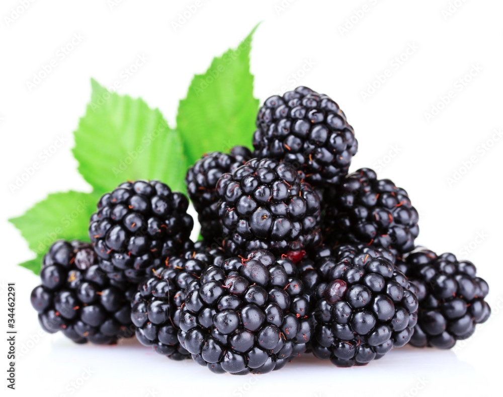 beautiful blackberries isolated on white beautiful blackberries isolated on white