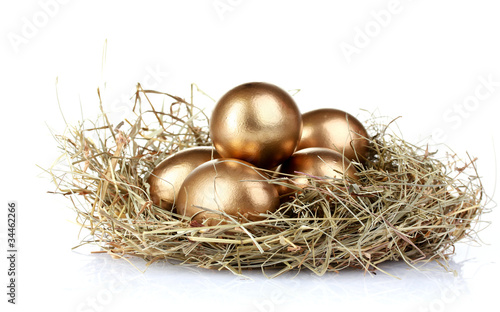 golden eggs in nest isolated on white