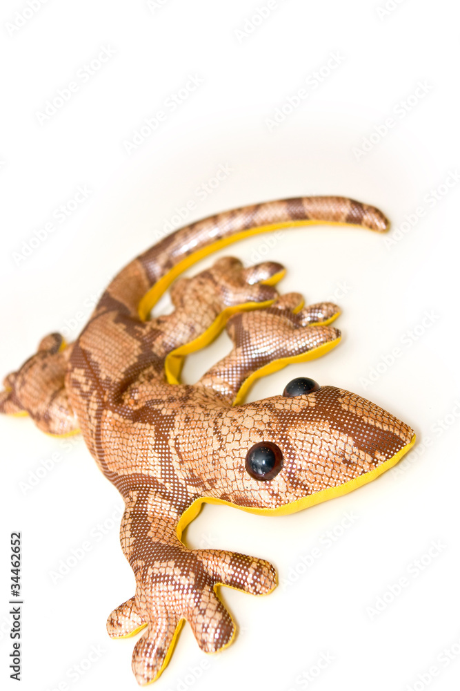 Obraz premium Golden lizard