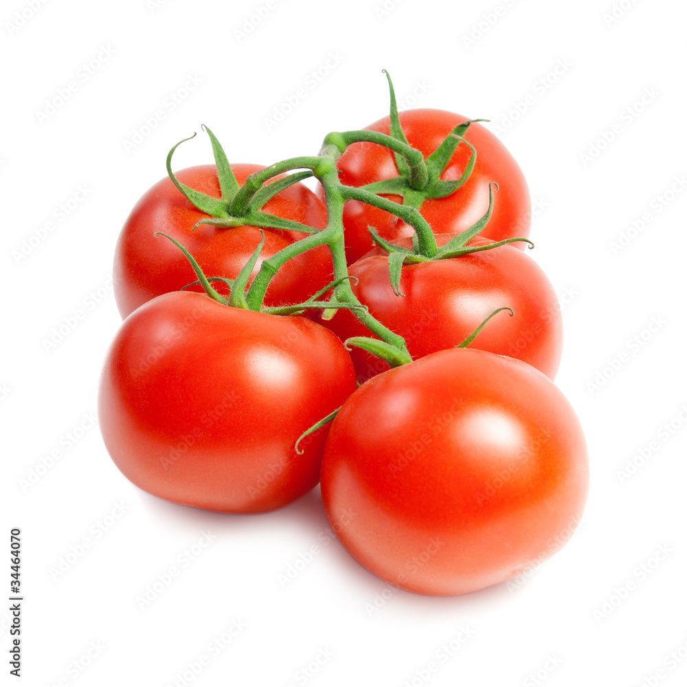 Red tomatoes on the green branch