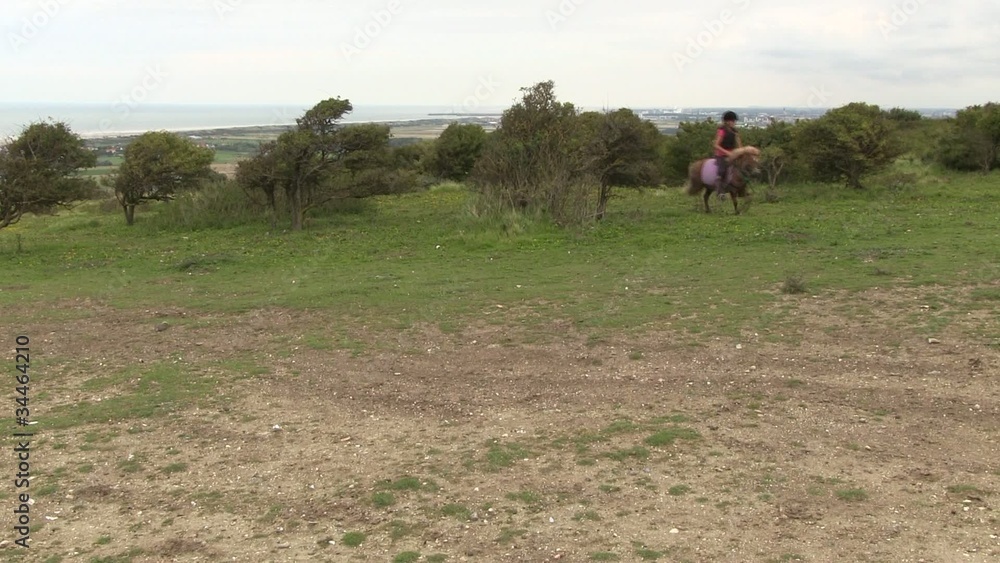 au trot dans le calaisi au trot dans le calaisi