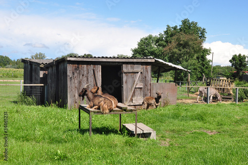 bauernhof photo