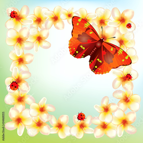 Flowers and butterflies framed background