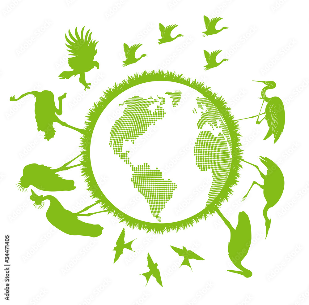 Birds set around world vector background Birds set around world vector background