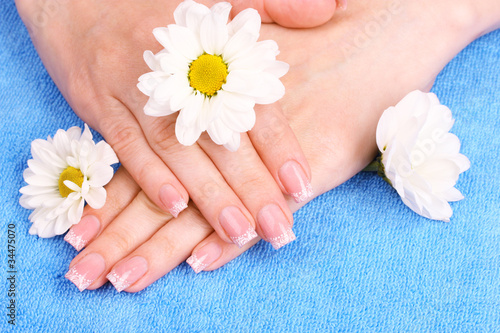 beautiful woman s hands and flowers on blue background