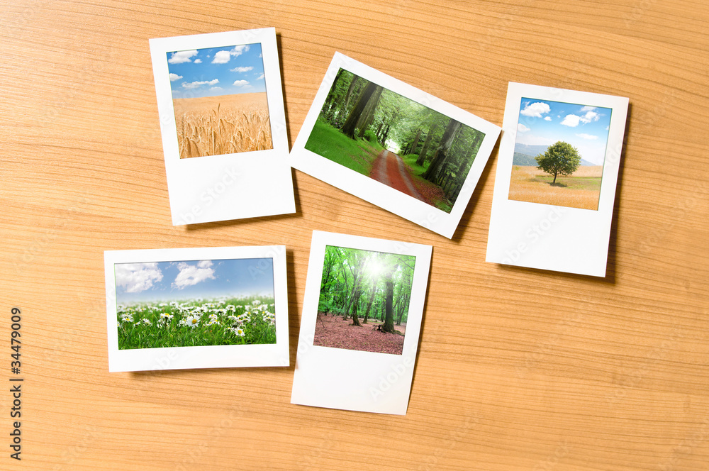 Fototapeta premium Forest on the picture frames
